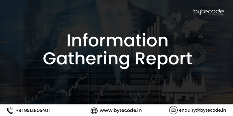 Information Gathering Report