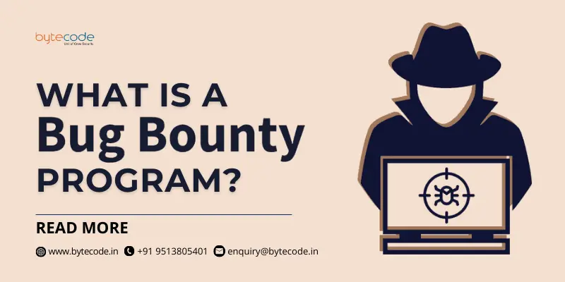 Bug Bounty Program