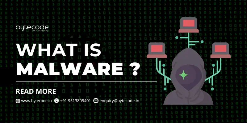 what is malware