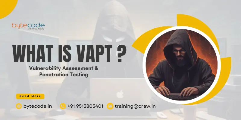 What is VAPT
